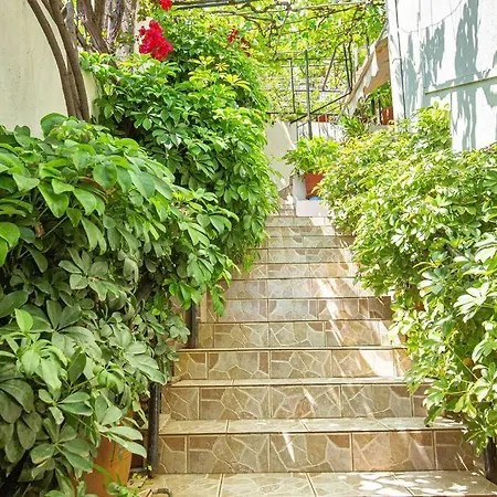 Blue Maraci 3- Cozy * هيماري